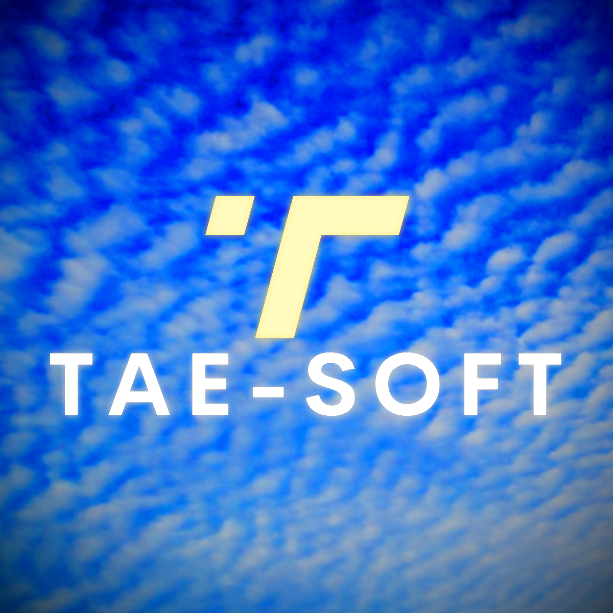 taesoft